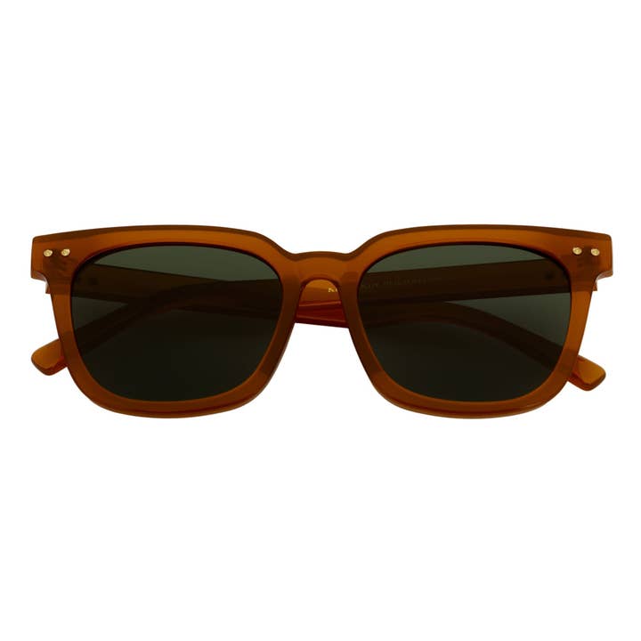 BELMONT - Polarisierte klassische Retro-Hornbrille Jelly Braun Grün Tönung für den Großhandel von Morspecs