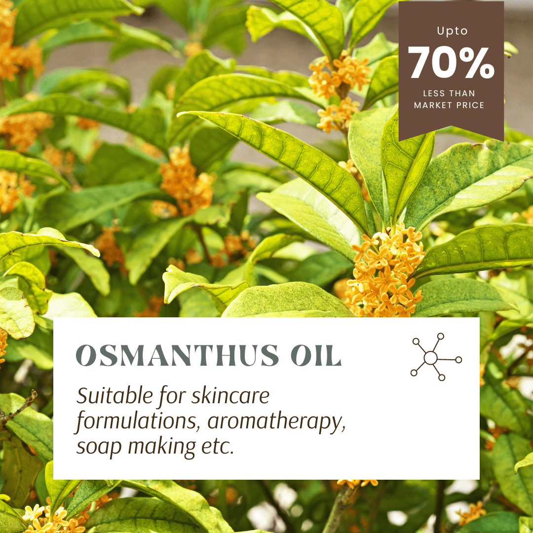 Aromachology – wholesale Eterisk olja – Osmanthus eterisk olja1