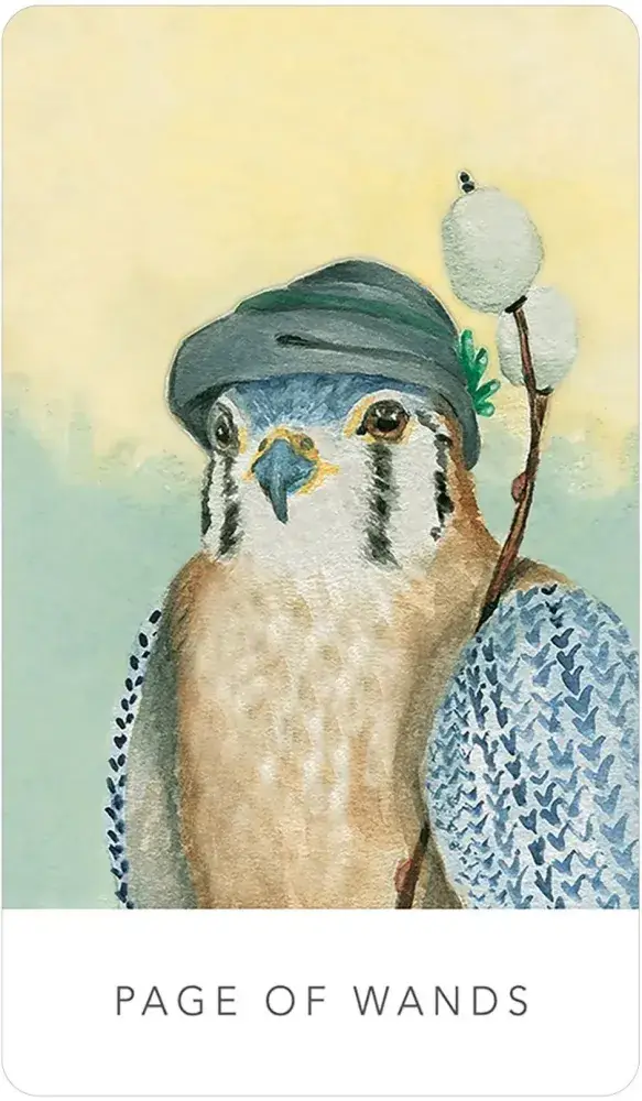 U.S. Games Systems Inc. - Wholesale Tarot Cards - White Sage Tarot3