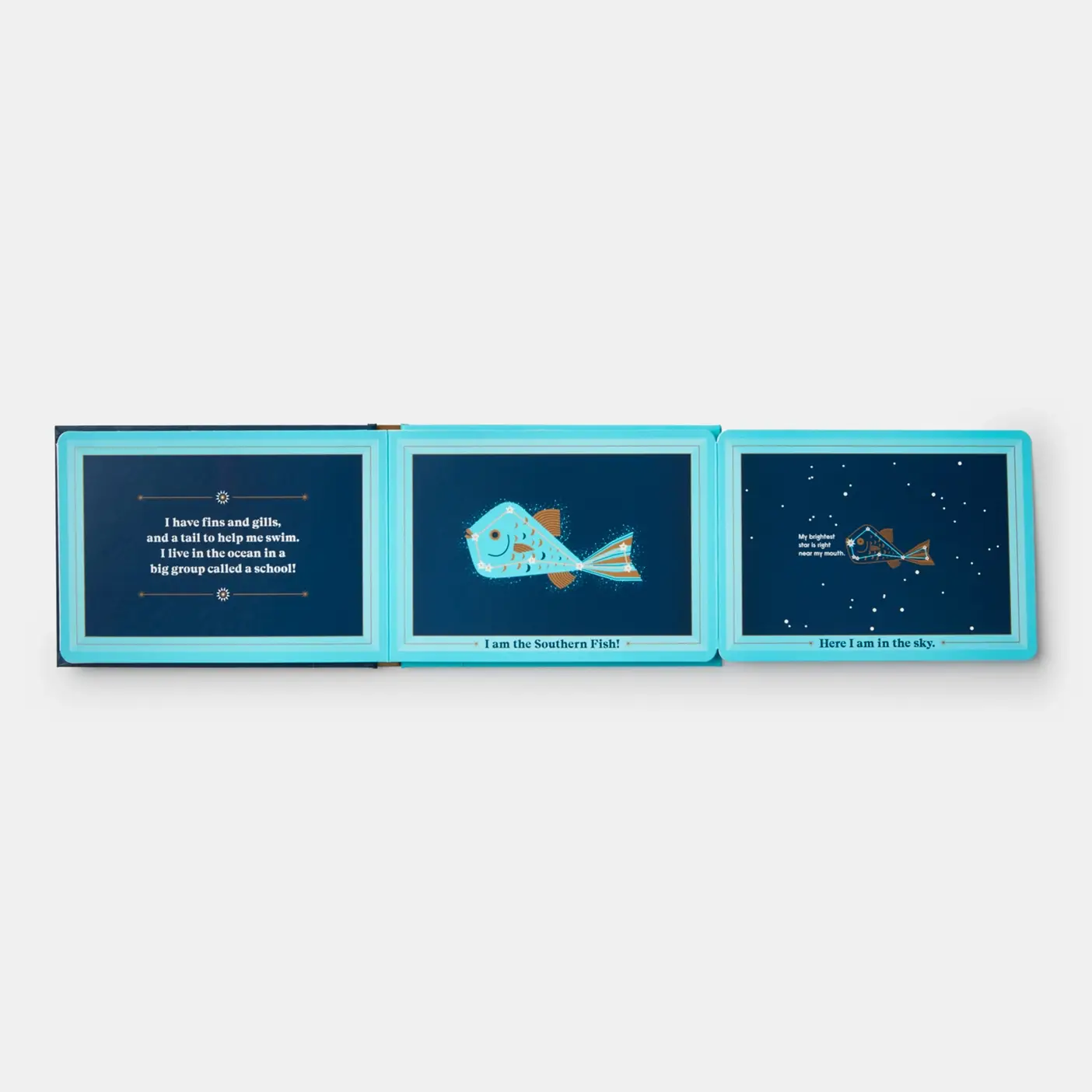 Phaidon - Wholesale Preschool Book (3-5) - Animals In The Sky6