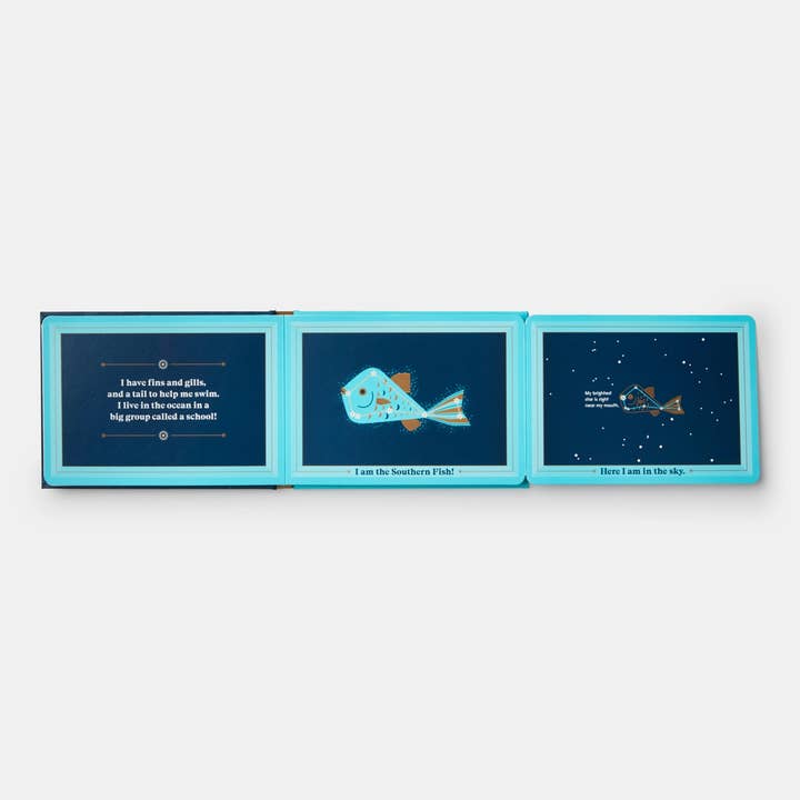 Phaidon - Wholesale Preschool Book (3-5) - Animals In The Sky6