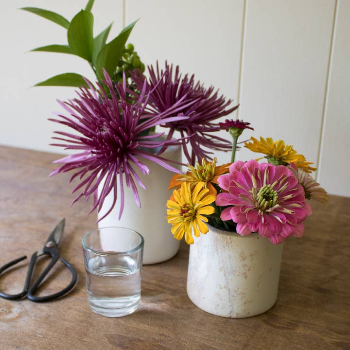 Venture Imports LLC - Wholesale Plant pot - Natural Cylinder Planters6