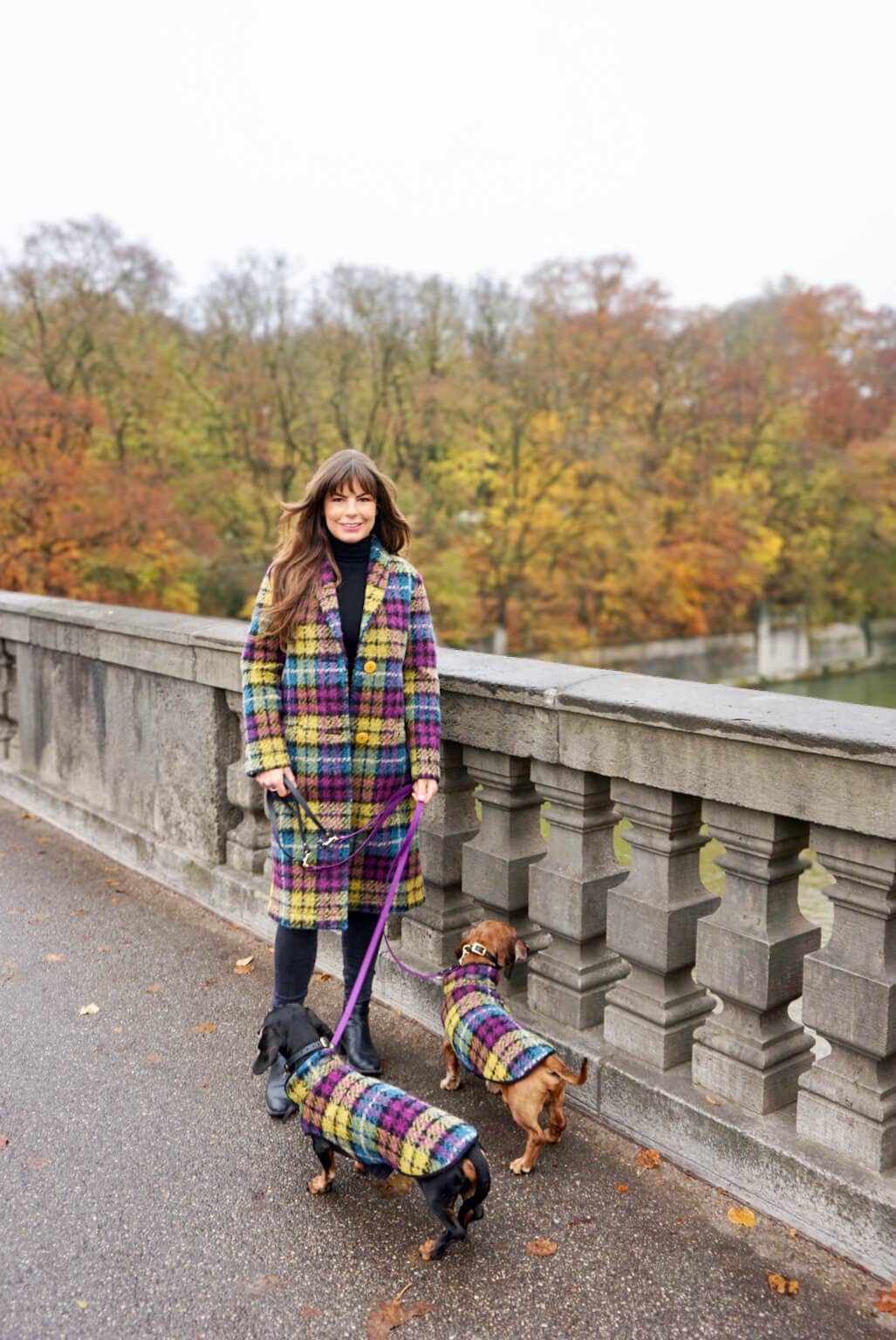 Dachshund Couture - Wholesale Pet Coat - Dog - Dachshund coat Franz Marc2