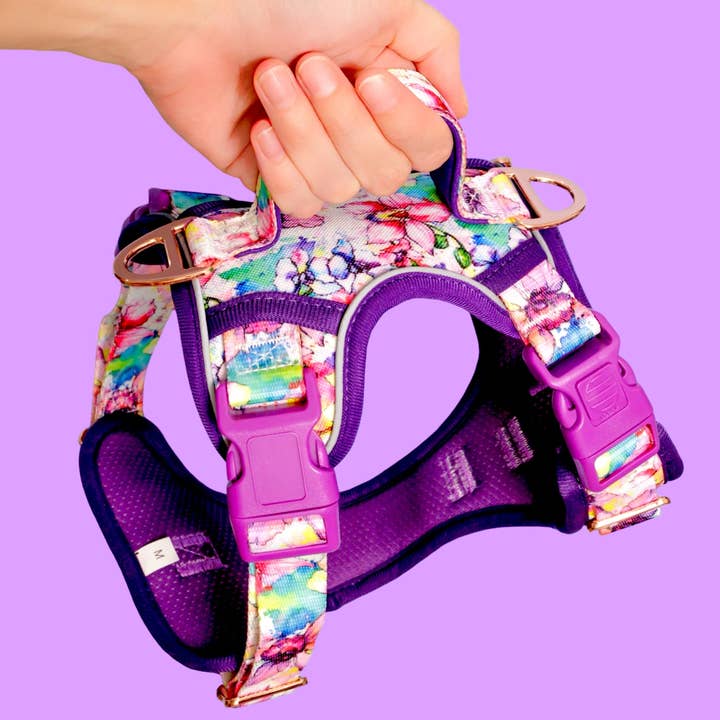 Arnés para Perros sin Tirones | Paso a Paso | Reflectante | Alta Resistencia | Asa de Fácil Alcance | The Willow para venta al por mayor de Dizzy Dog Collars