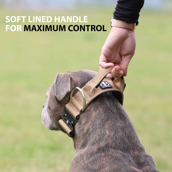 BullyBillows Ltd - Vente Collier – chien - Collier pour chien Combat™ 5 cm - Noir v2.0