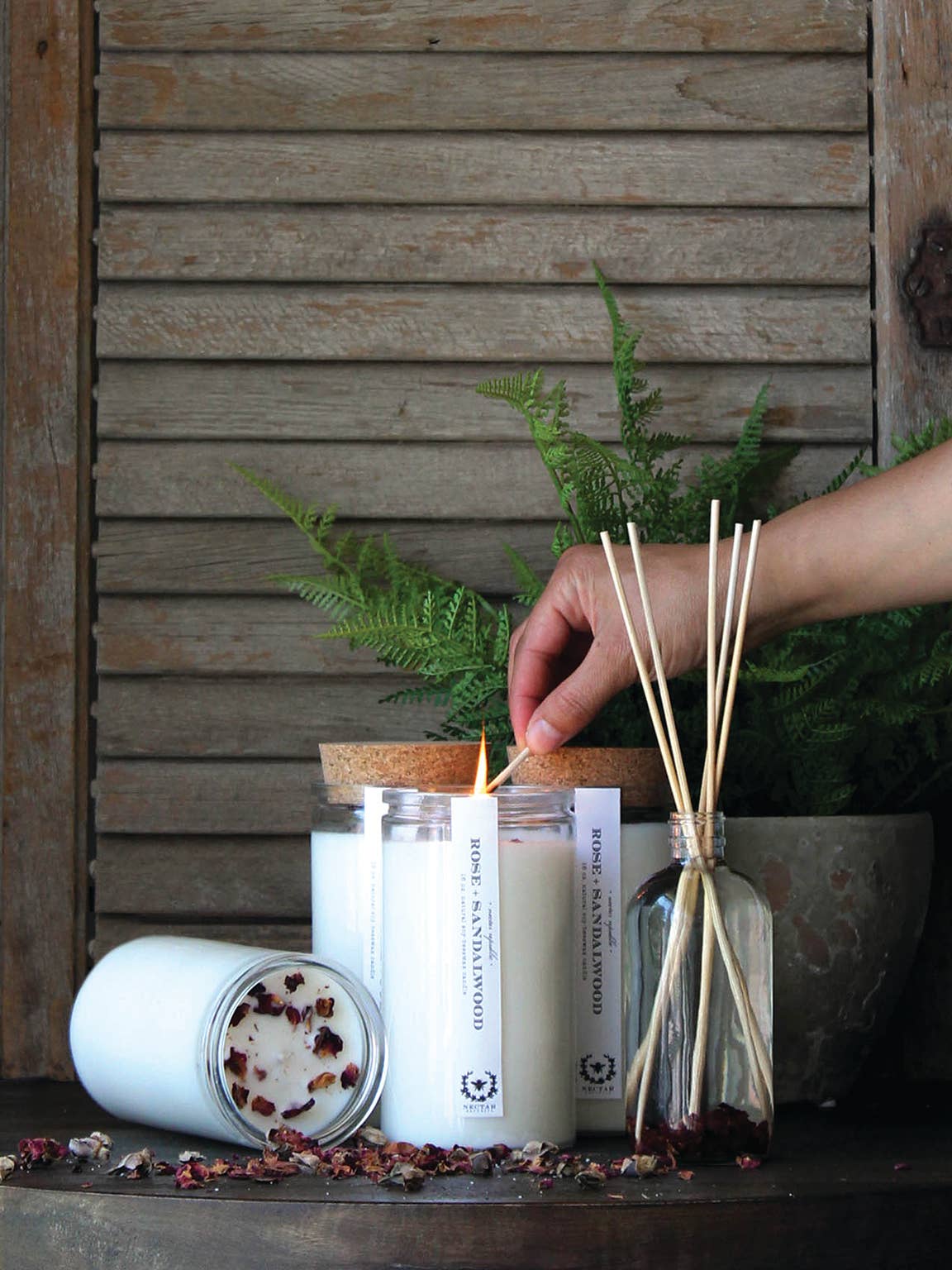 Nectar Republic - Wholesale Jar/Filled Candle - Grapefruit Lemongrass : Apothecary Candle ( Uplifting )1