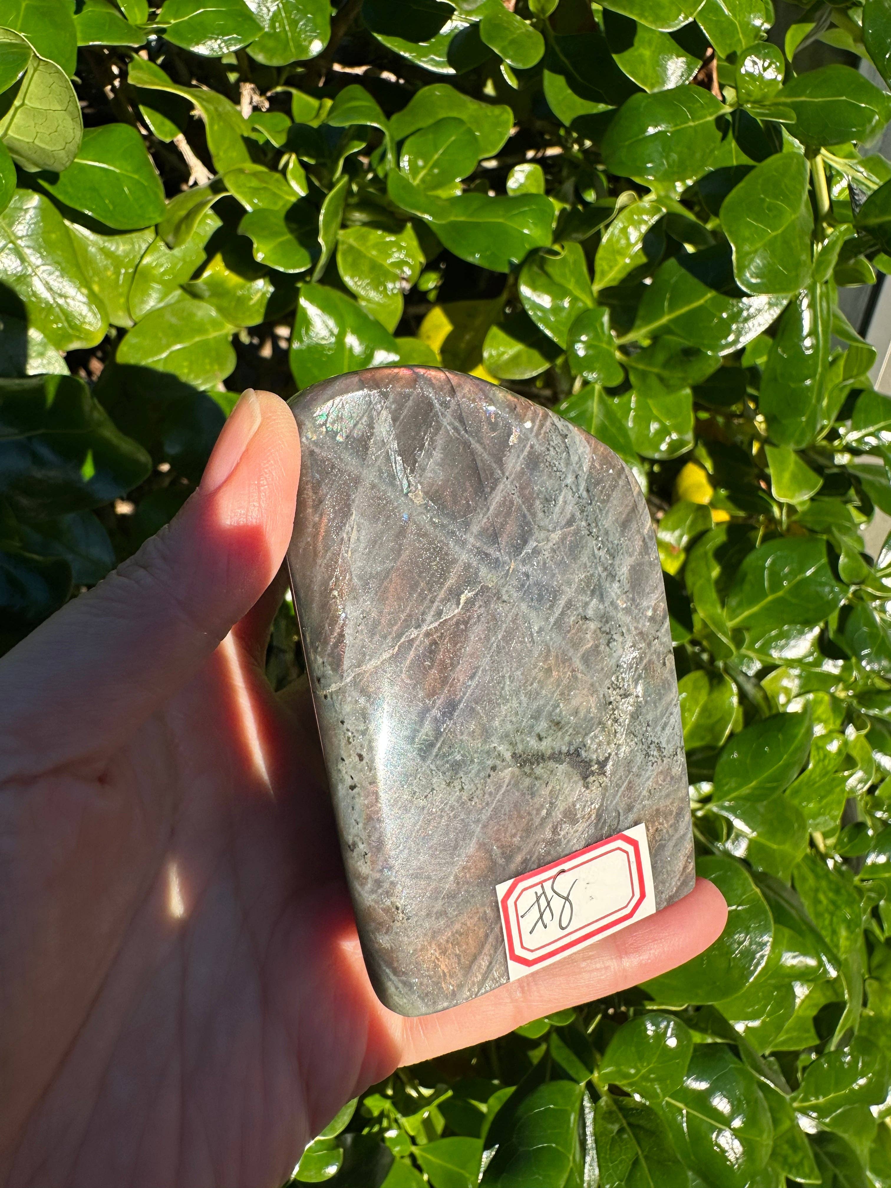 Moon Rituals – wholesale Spiritual stone/crystal – Large Purple Labradorite Free Form, Christmas Crystal Gift #87