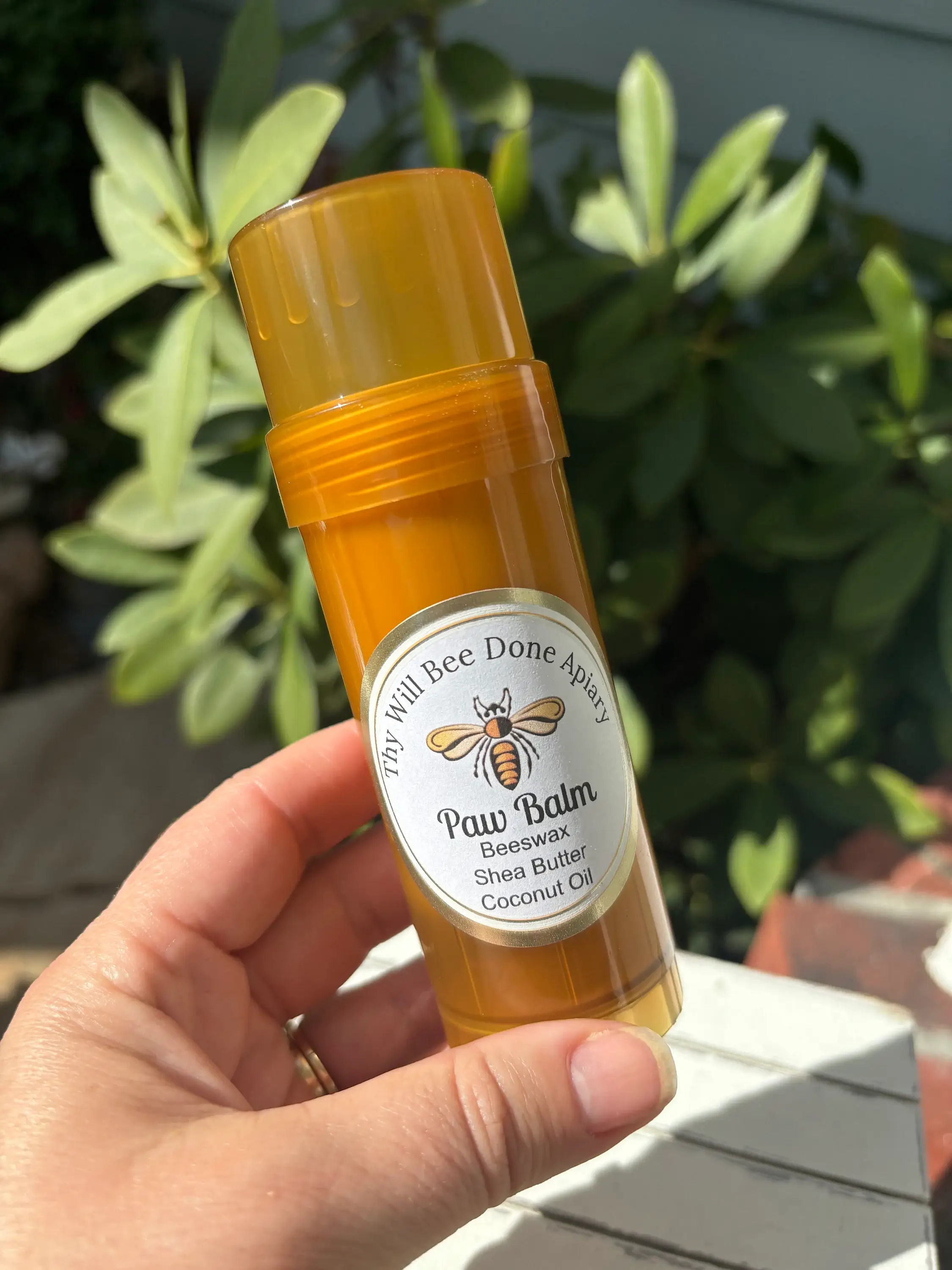 Thy Will Bee Done Apiary - Wholesale Pet Balm - Dog - Pet Care, Pet Paw and Nose Balm, Healing Dog Paw Salve, Vet 2