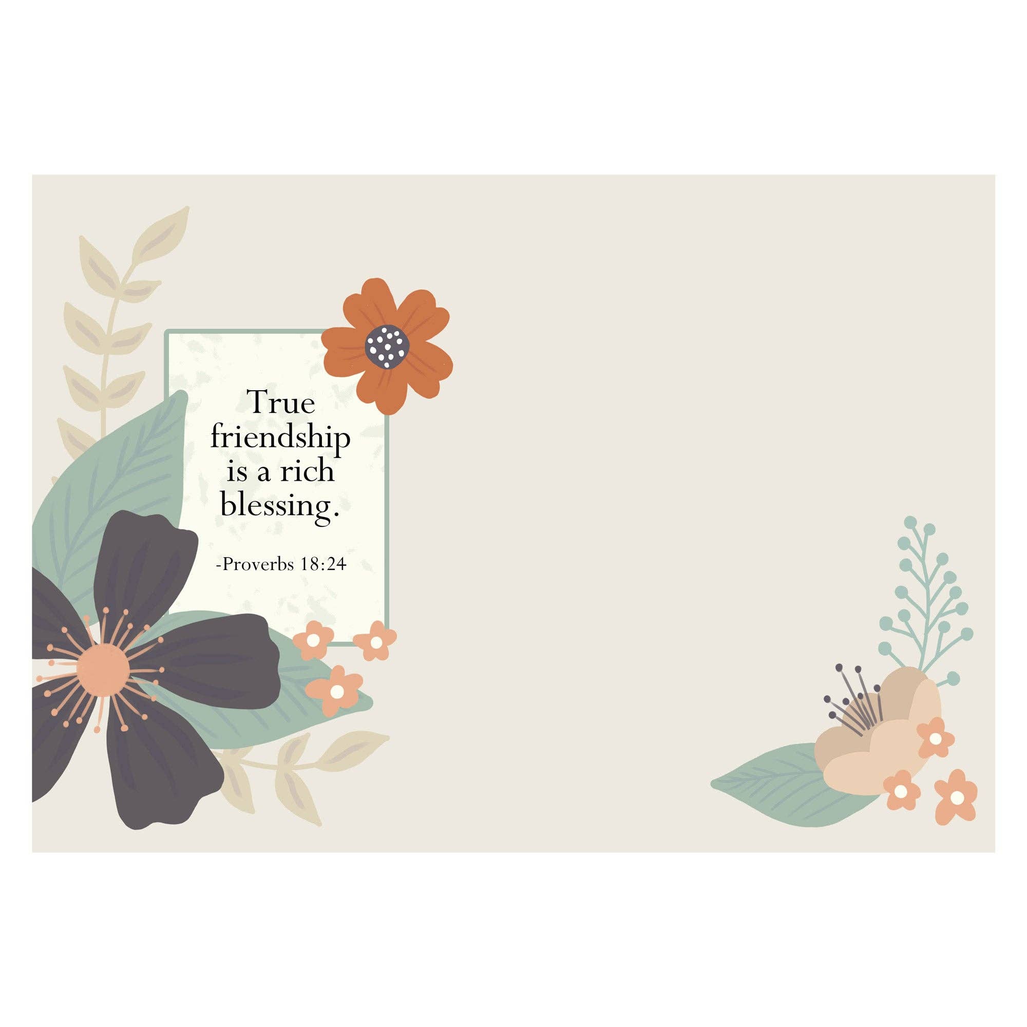 Divinity Boutique - Wholesale Thinking of You Card - Boxed Cards: Thinking of You, Floral3