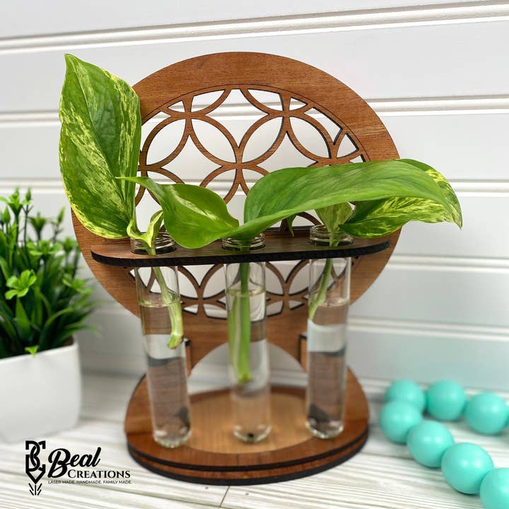 Plant Propagation Station for wholesale by Beal Creations