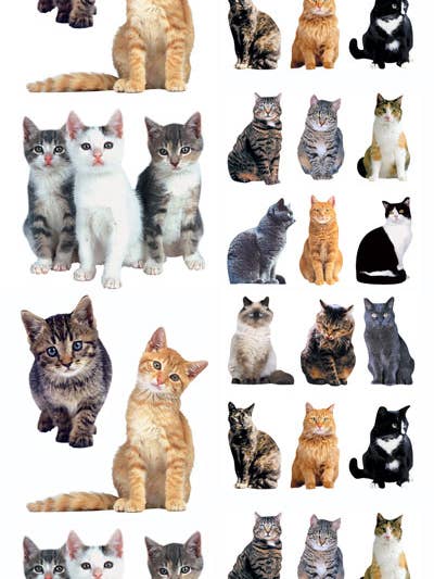 Decorative Stickers - Cats for wholesale by Paper House Productions
