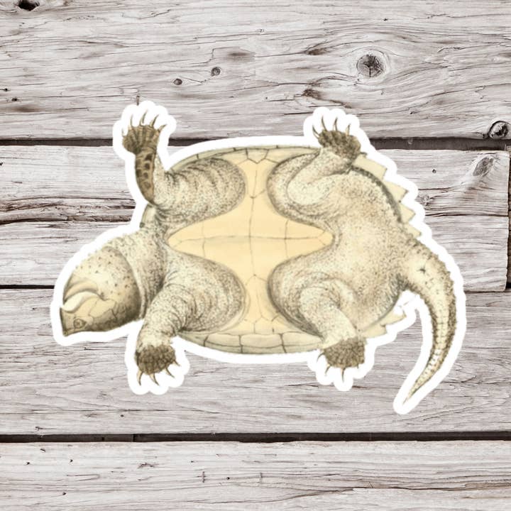 NatureCuts - Wholesale Sticker - Snapping Turtle Bottom Sticker, Snapping Turtle Sticker0