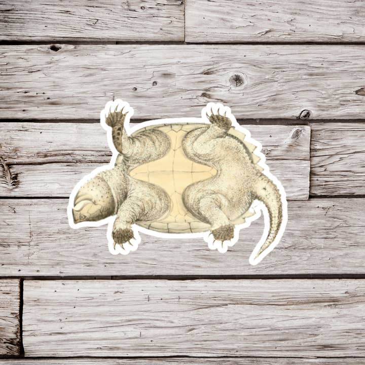 Snapping Turtle Bottom Sticker, Snapping Turtle Sticker for wholesale by NatureCuts