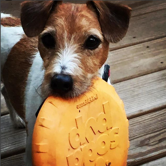SodaPup Dog Toys - Wholesale Pet Fetch Ball - Dog - SP Bottle Top Flyer - Flying Toy - Multiple sizes - orange8