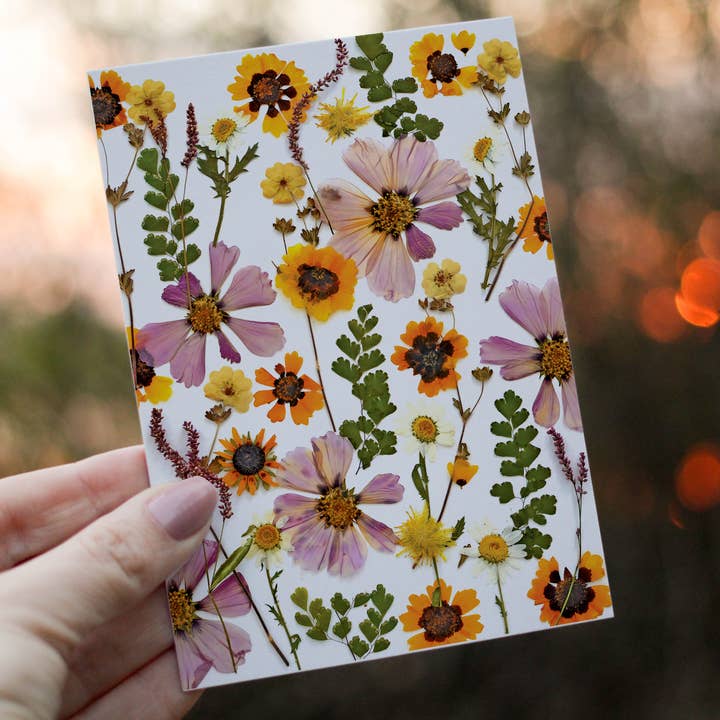 Cosmos/Coreopsis Mix - Pressed flower collection card PRINT for wholesale by Eight Acorns Floral Preservation