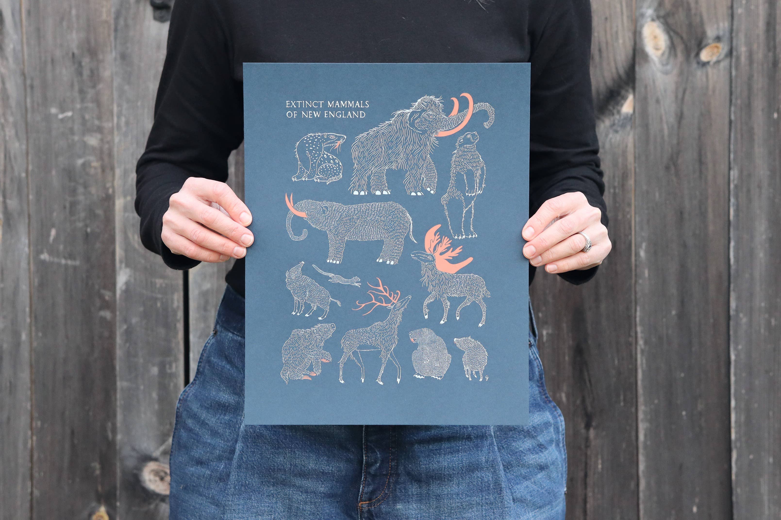 As Little Cooking as Possible – Engroshandel Plakat – Uddøde pattedyr i New England | Screen-print | Lavet i VT1