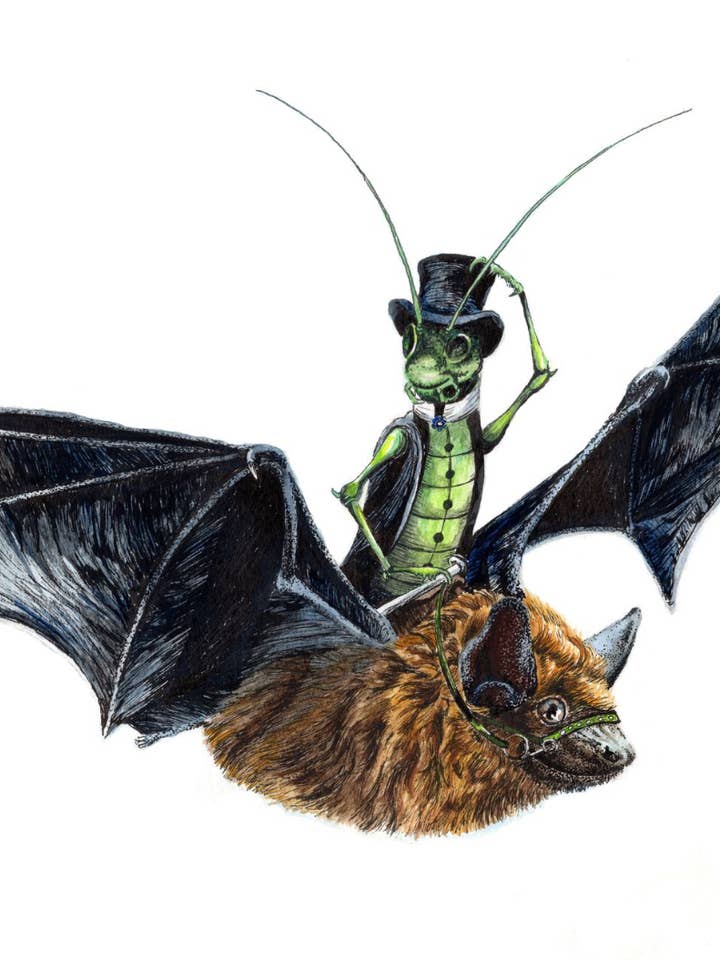 Whimsical Cricket Bat Animal Signed Archival Print for wholesale by Holly Simental