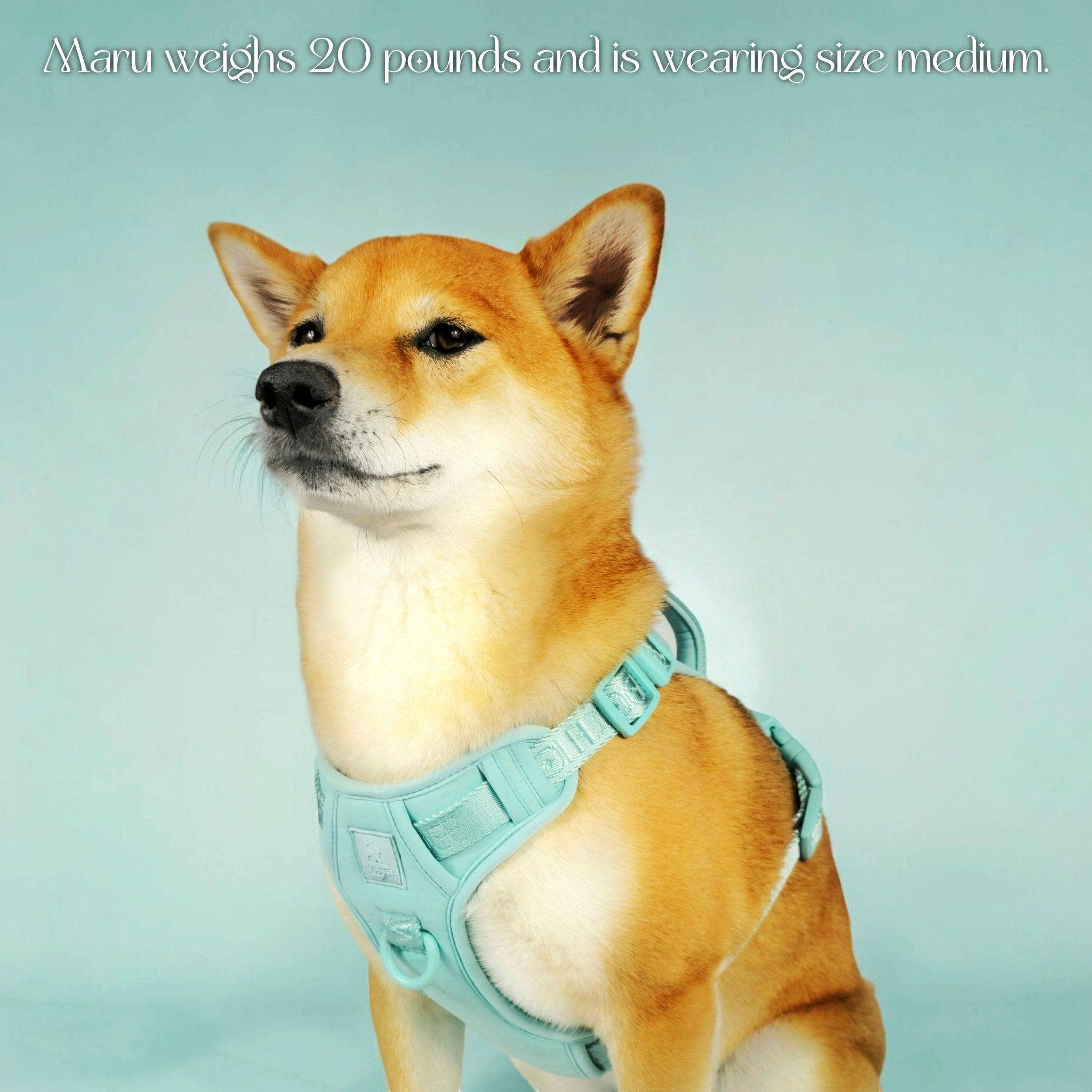 Wolfdoge - Wholesale Pet Harness - Dog - Wolfdoge Signature Harness5