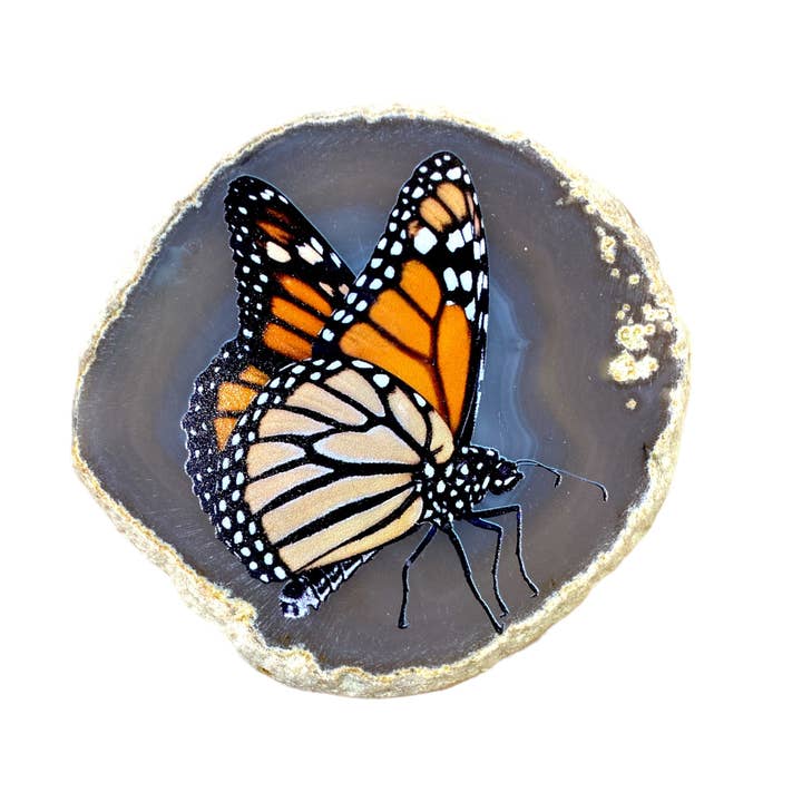 Botswana Agate plaque with butterfly print for wholesale by Foliesbijoux