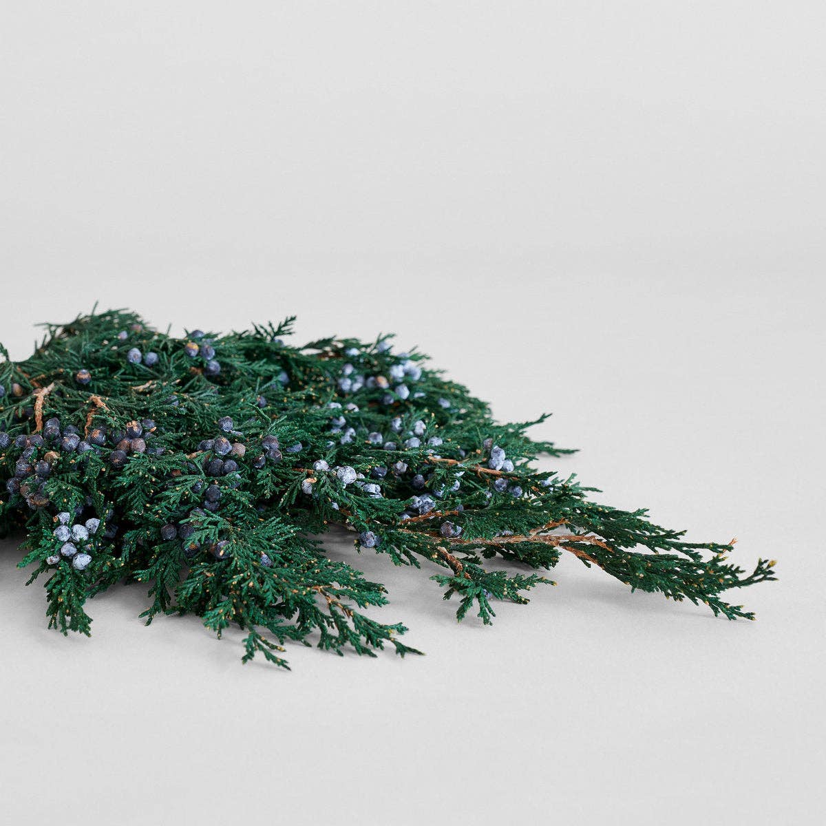 Bloomist - Wholesale Artificial Plant - Preserved Juniper With Berries8