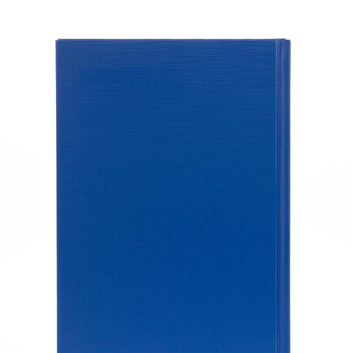 Collins Debden - Wholesale Planner - Essential - A4 Day-to-Page Diary with Appointments- 2025 Calendar Year Planner