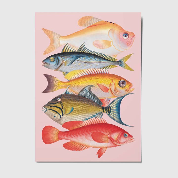 studio mirabella - Wholesale Postcard - Fish - A6 Postcard0