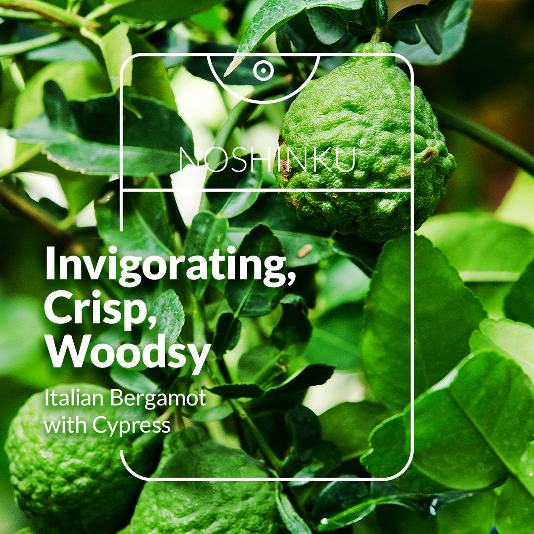 Noshinku - Wholesale Hand Sanitizer - REFILLABLE Bergamot Ultra-Moisturizing Pocket Hand Sanitizer11