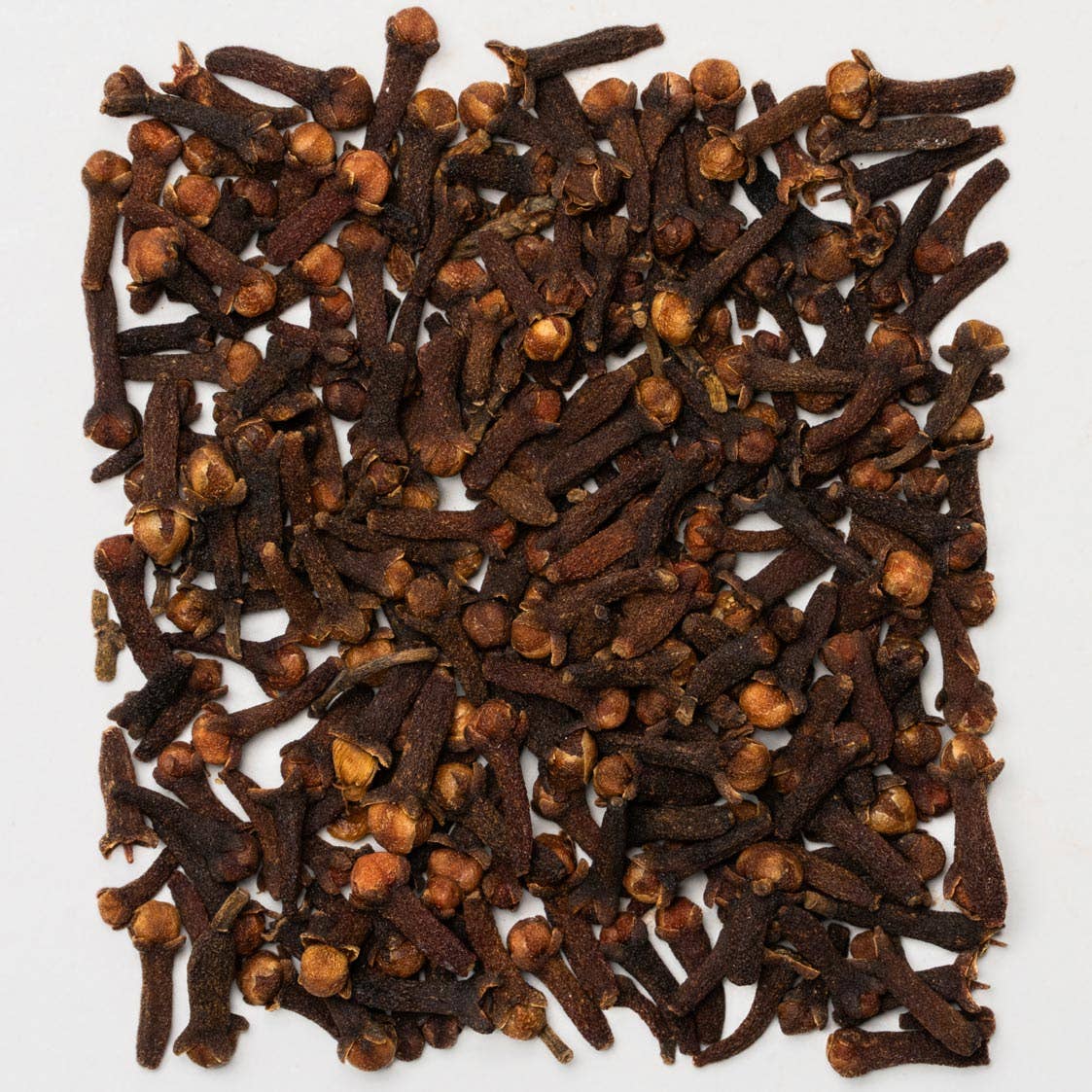 KAICAO - Wholesale Hot Cocoa Mix/Kit - Mexican Spicy Ceremonial Cacao- A Blend of Ceremonial Cacao, Chilis & Spices. Washed Cacao Beans, Tabasco, Mexico10