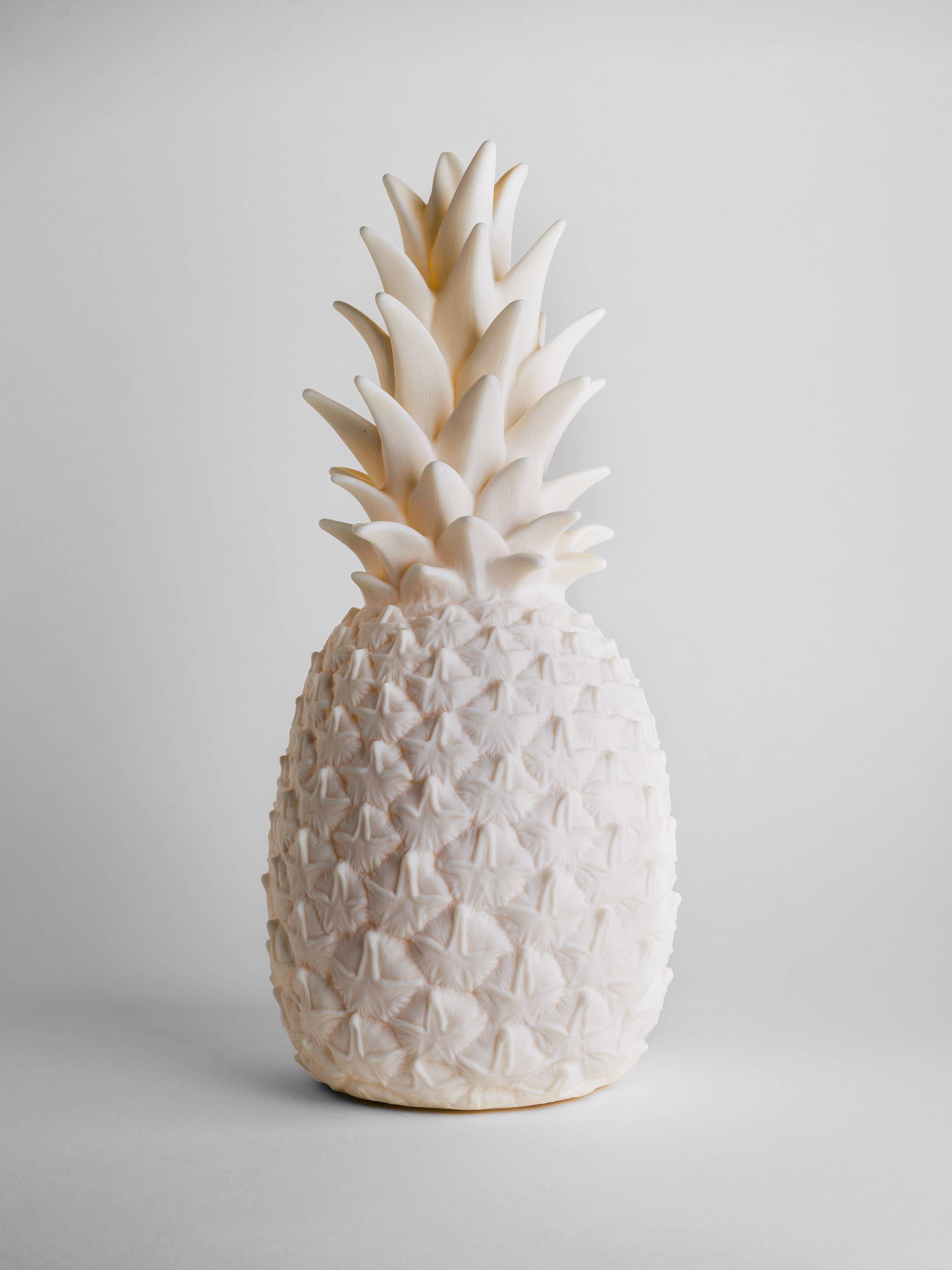 Goodnight Light - Wholesale Accent/Desk Lamp - The Piñacolada Lamp - indoor/outdoor rechargeable lamp8