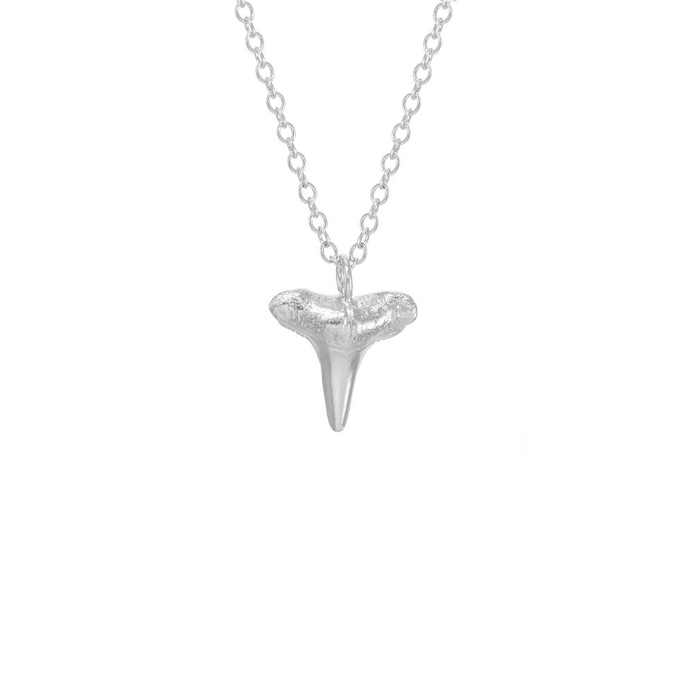 Catherine Weitzman – wholesale Pendant/charm necklace – Small Shark Tooth Necklace0