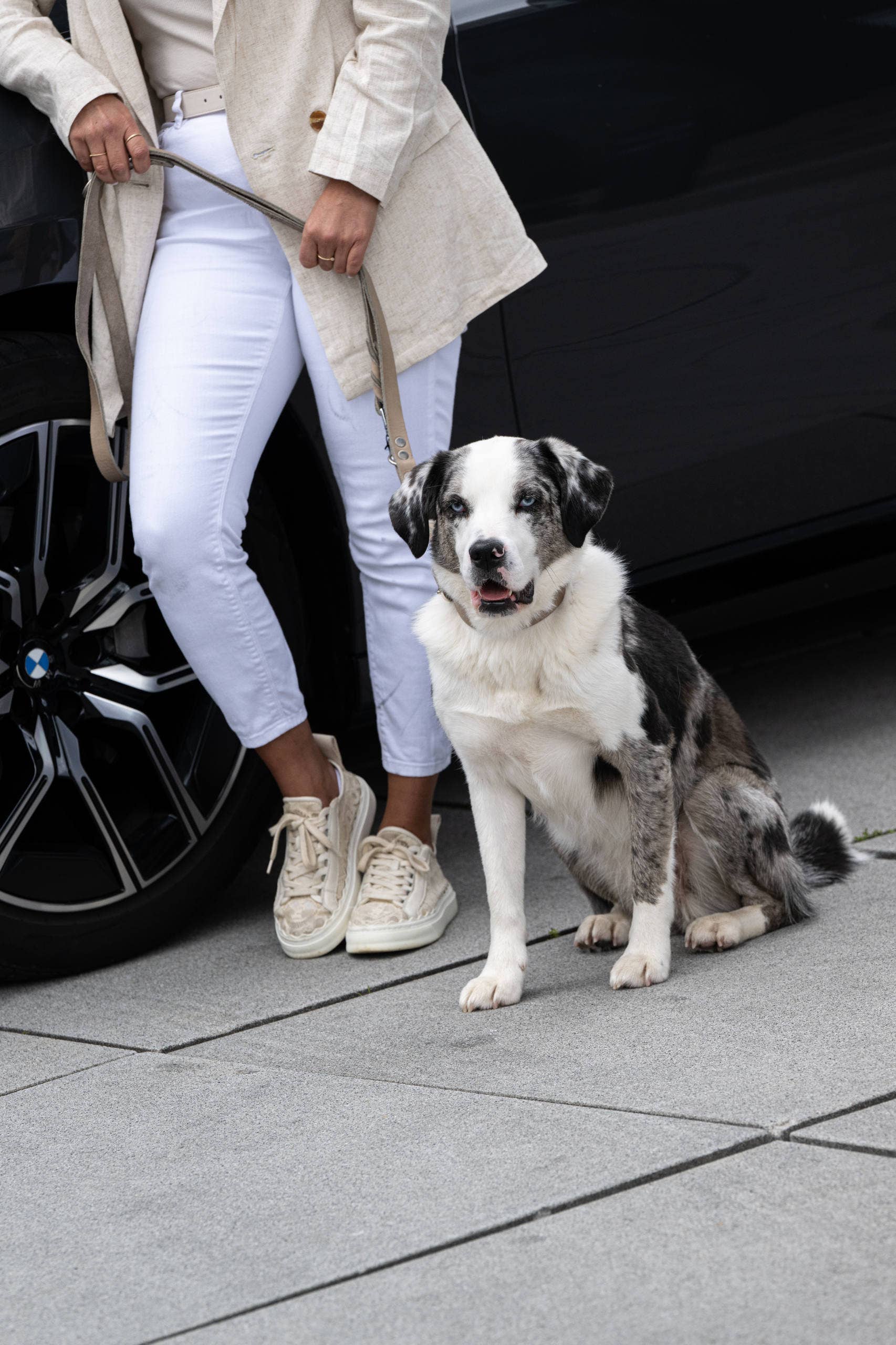 LABONI - Volentis GmbH - Vente Collier – chien - Collier pour chien GIRO en cuir souple à prise ferme14