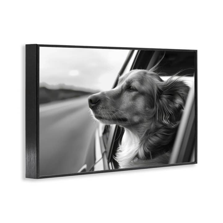 Stupell Industries - Wholesale Wall Sign - Dog Out Car Window - Framed Wall Art13