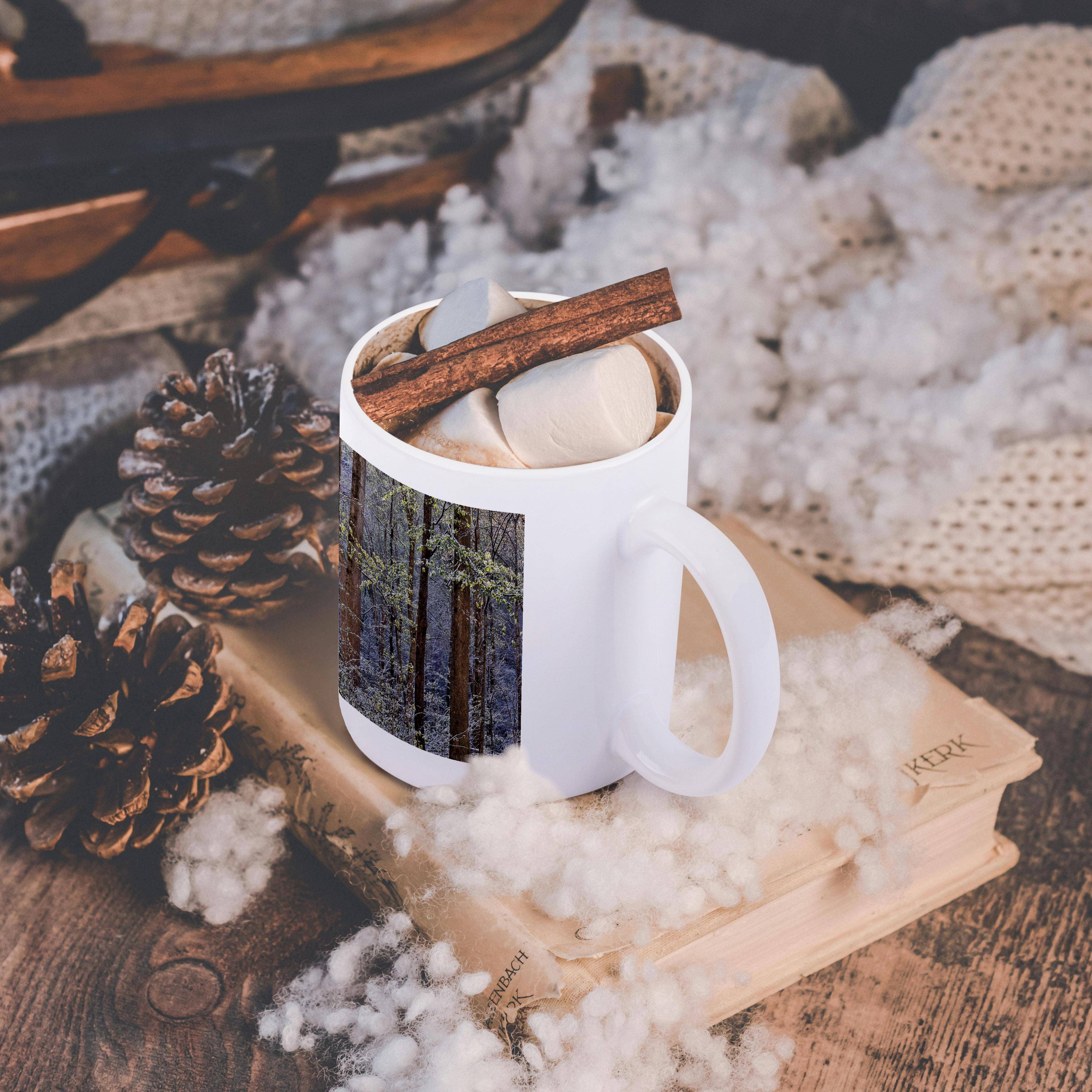 3dRose - Wholesale Coffee Mug - 3dRose, USA, Tennessee. Great Smoky Mountains National Park. Springtsnow 6, Mug11