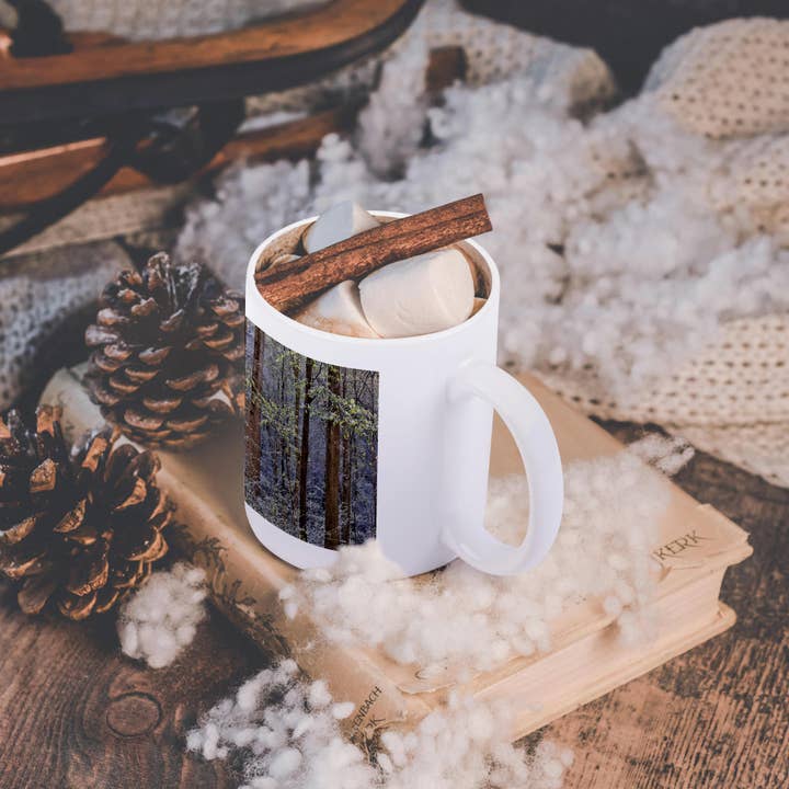 3dRose - Wholesale Coffee Mug - 3dRose, USA, Tennessee. Great Smoky Mountains National Park. Springtsnow 6, Mug11