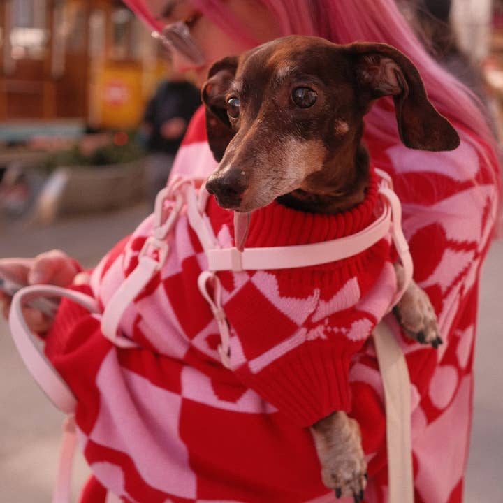 Sunbean - Wholesale Pet Sweater - Dog - Roll Neck Dog Knitted Love Sweater9