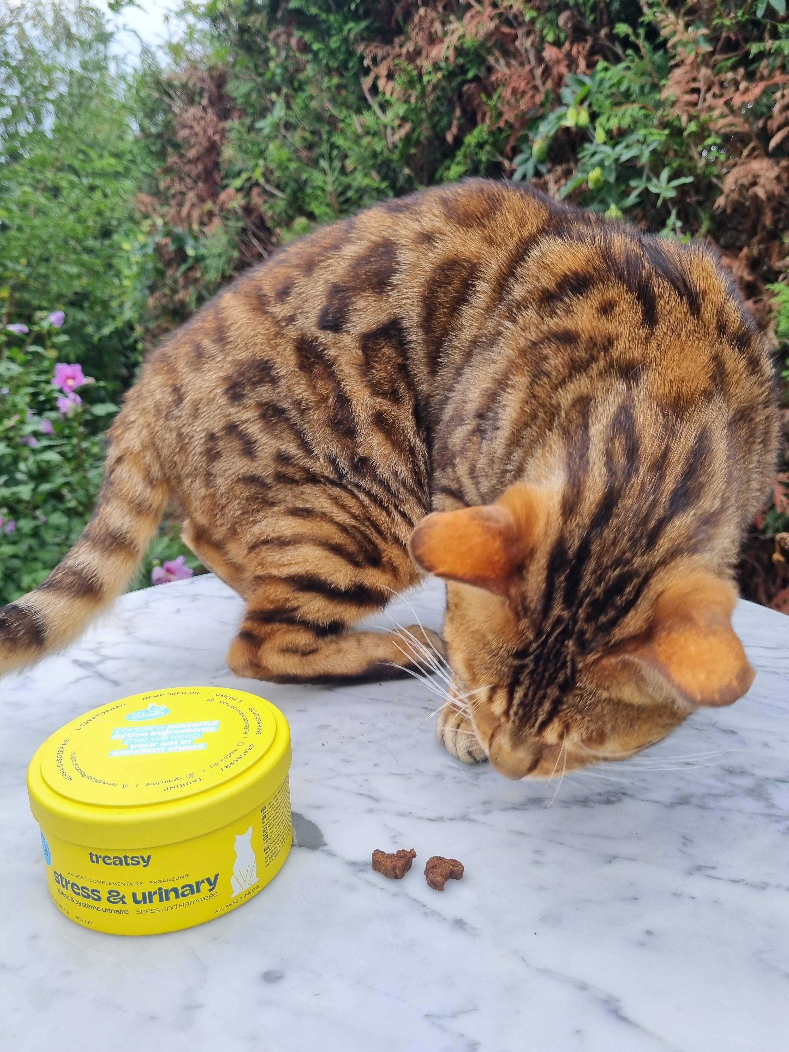 Treatsy - Wholesale Pet Supplement - Cat - Cat Stress & Urinary Supplement | Vet recommended | Fish & C9