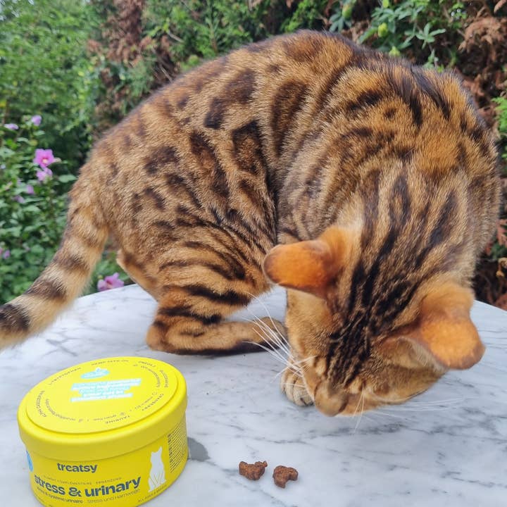 Treatsy - Wholesale Pet Supplement - Cat - Cat Stress & Urinary Supplement | Vet recommended | Fish & C9