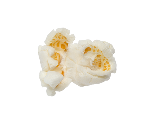 Popcornloop - Venta al por mayor Palomitas de maíz - Palomitas de maíz estilo mariposa6