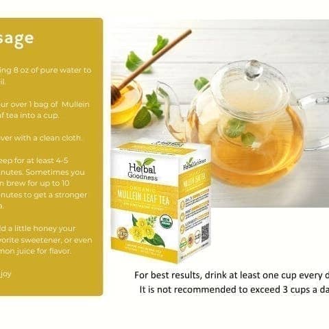 Herbal Goodness - Wholesale Health/Detox Tea - Mullein Leaf Tea - Organic 24/2g - Lung & Respiratory Support - Herbal Goodness