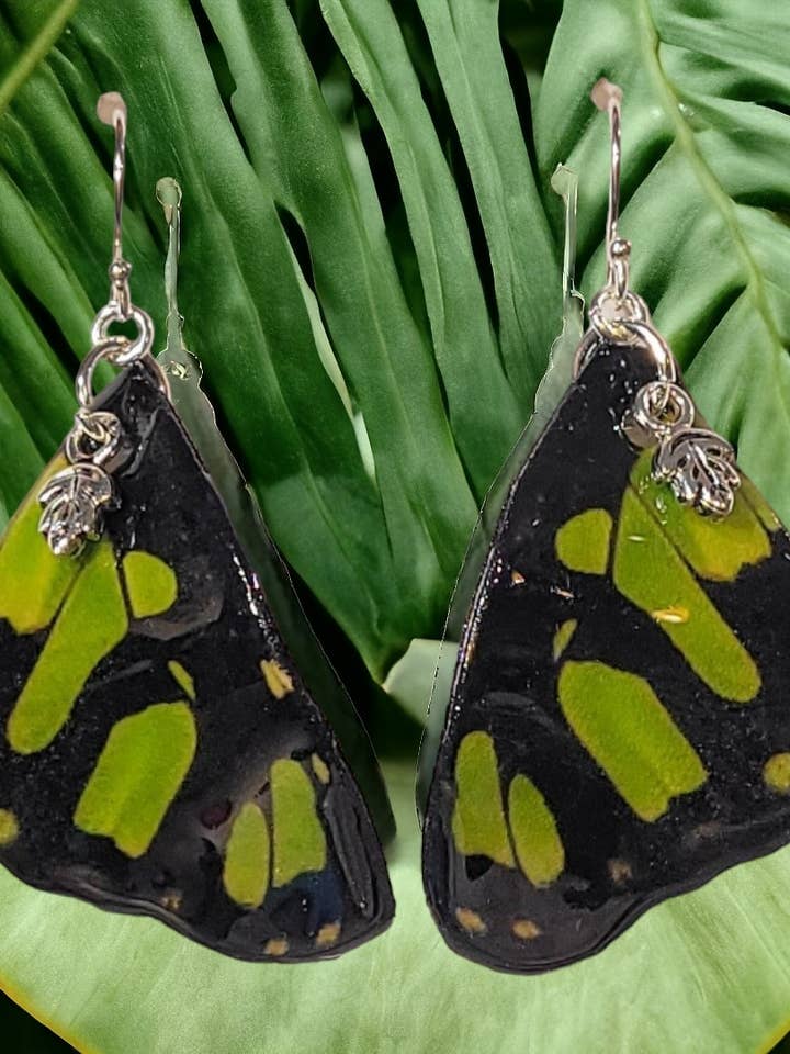Monarch Jewelry Project/Siproeta Stelenes Butterfly Earrings for wholesale by Monarch Jewelry Project/dIANKA designs