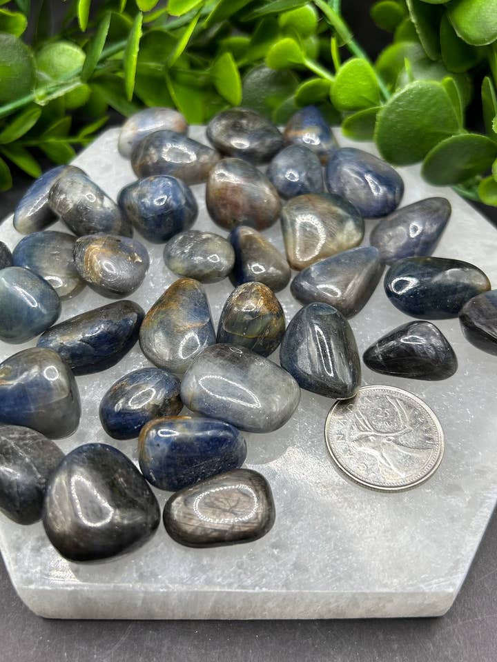 Sapphire Tumbled (S-M) für den Großhandel von Moonbeam Healing