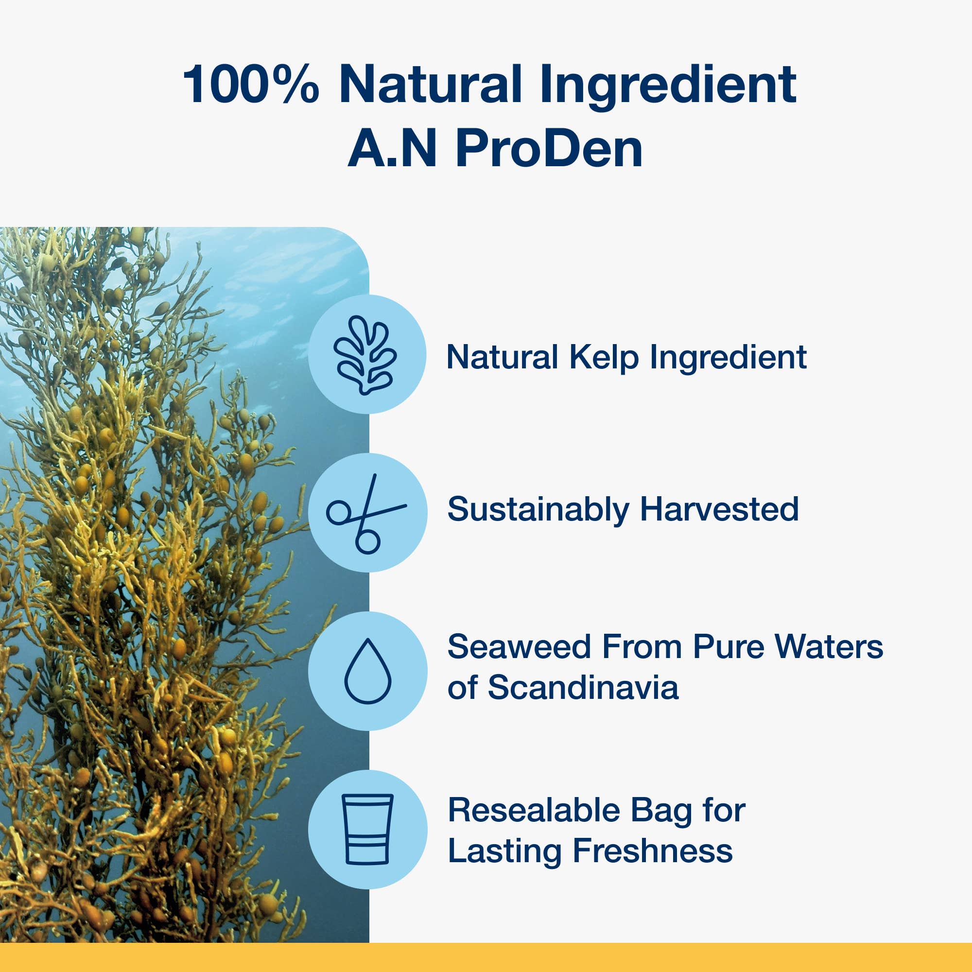 ProDen PlaqueOff - Wholesale Pet Treats - Dog - ProDen PlaqueOff System™ Dental Care Bones (26 SINGLE WRAP)8