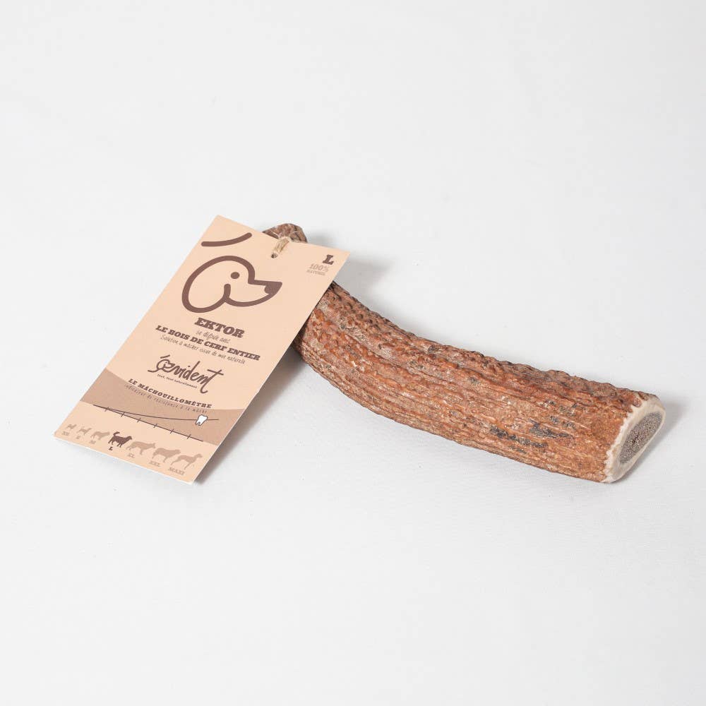 Evident - Wholesale Pet Bone/Rawhide - Dog - EKTOR - Whole deer antler to chew on for dogs2