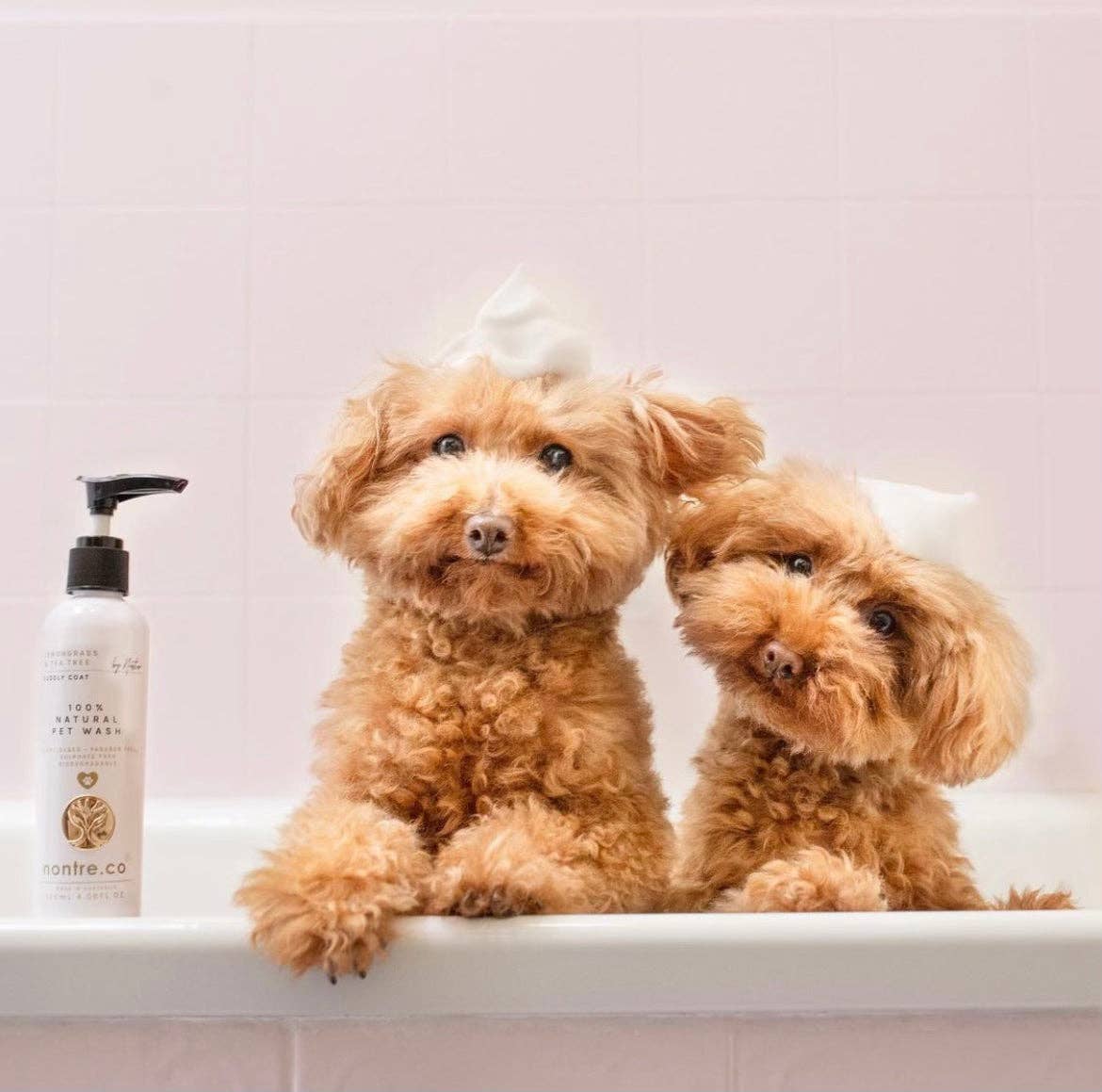 nontre.co - Wholesale Pet cleaning supplies - Pet Wash 120mL1