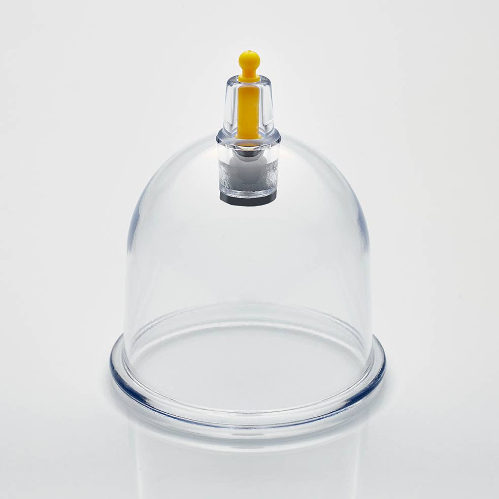 Nature’s Blends - Vente Verre/tasse - 500 ventouses de qualité supérieure - tailles mixtes de B1 à B63