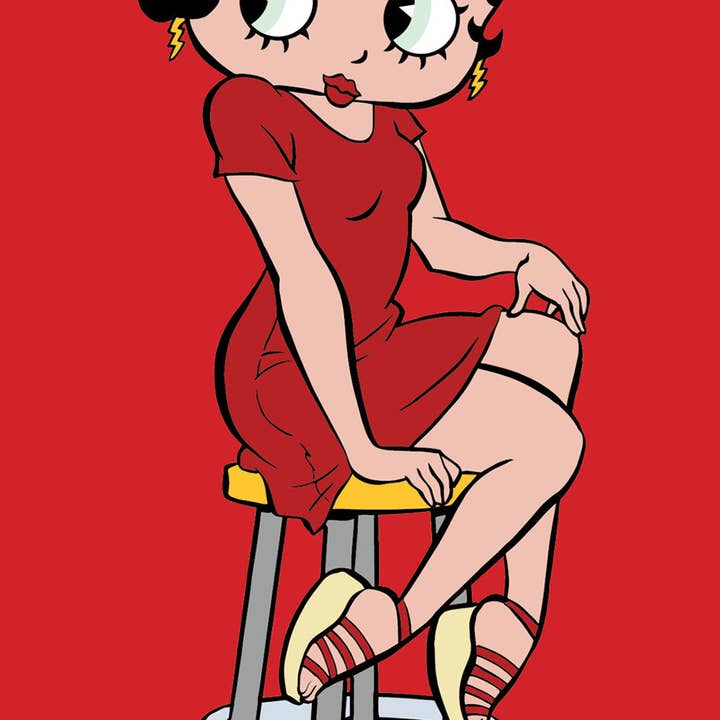 Willow Creek Press & Gifts - Wholesale Planner - Betty Boop 2025 2-Year Monthly Pocket Planner