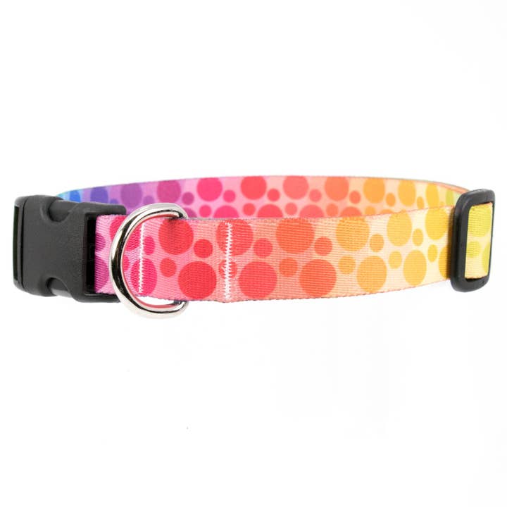 Rainbow Dots Dog Collar - Made in USA for wholesale by Buttonsmith