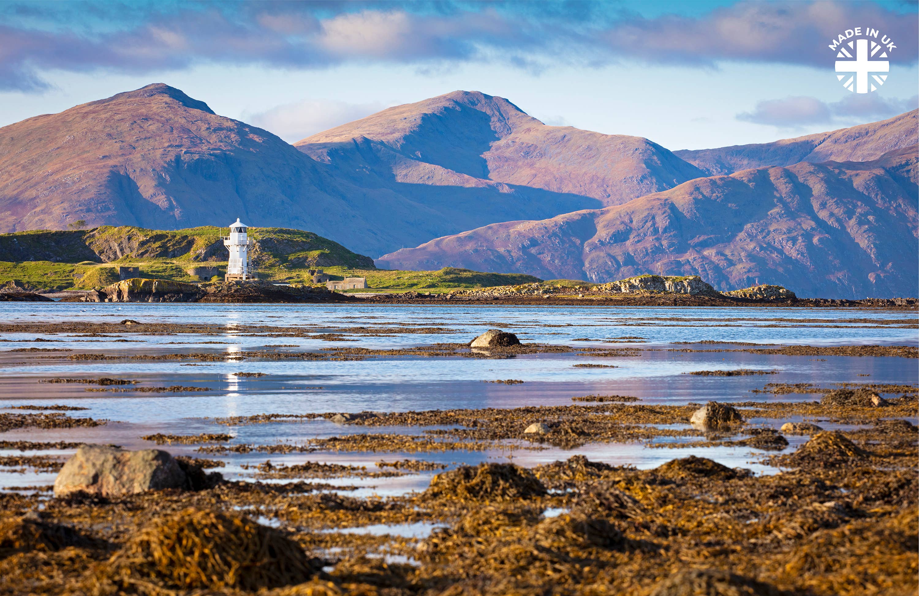 Pet Wiz – wholesale Pet food – Dog – 100% Organic Seaweed Meal3