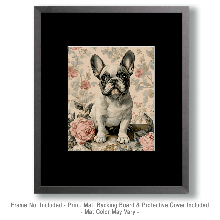 Mowbi - Vente Affiche d'art - Bouledogue français bringé - Tirages d'art natures mortes pour animaux de compagnie – Illustration 20 x 25 cm pour cadre 28 x 35 cm1