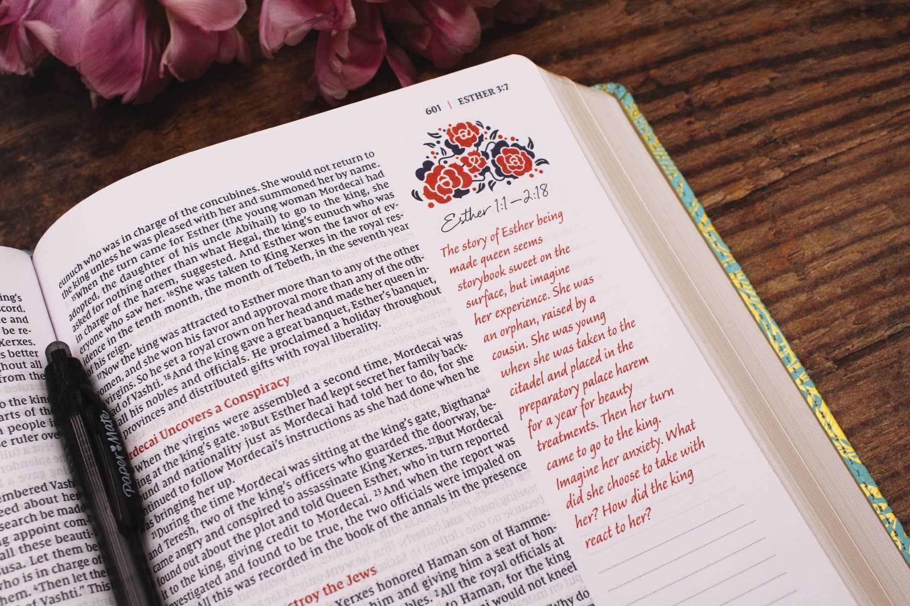 HarperCollins Christian Publishing - Wholesale Journal/Diary - NIV Journal The Word Bible For Women Leathersoft Teal/Gold5